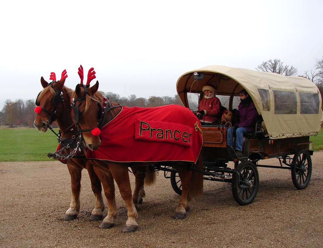 Prancer